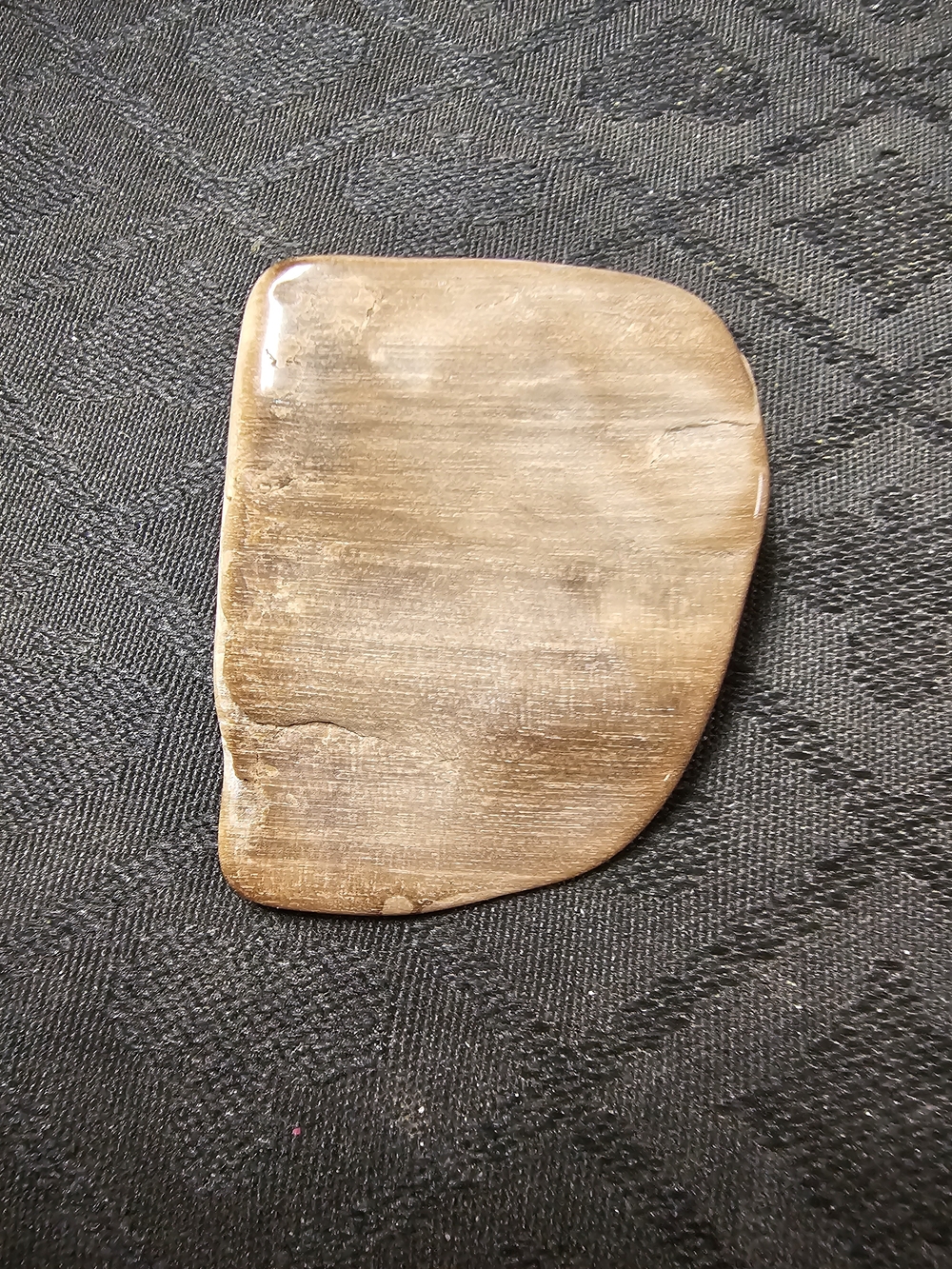 Polished Petrified Wood Brooch